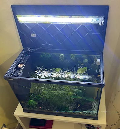 Acquario NEWA - Anteprima 3