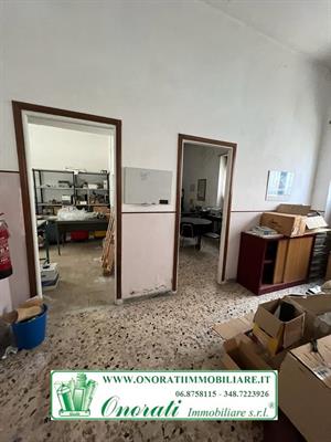 Foto - 8