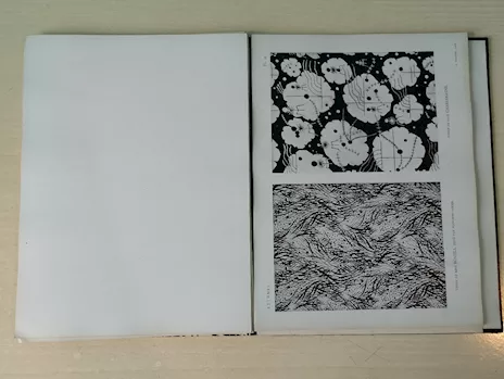 Rythmes Dessins Décoratifs - Foto 4