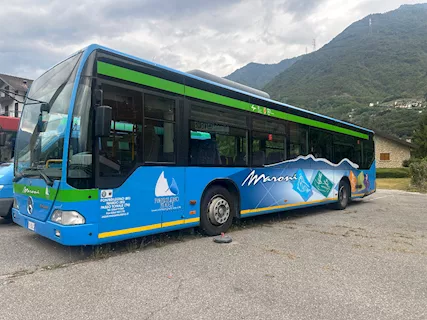 MB Citaro