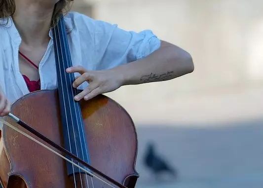 Violoncellista professionista a Novara