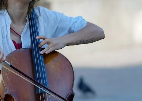 Violoncellista professionista a Novara