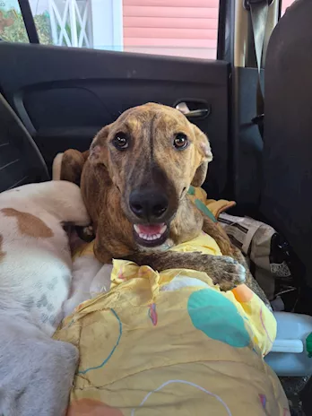 Giada 7 mesi e Gioia 6 mese, belle ma invisibili - Anteprima 5