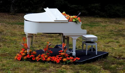 Pianista professionista a Canelli