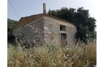 Terreno agricolo