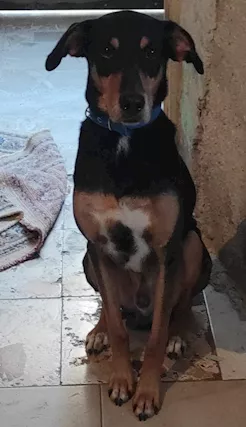 6 Anni Vissuti Tutti in Casa - Foto 2