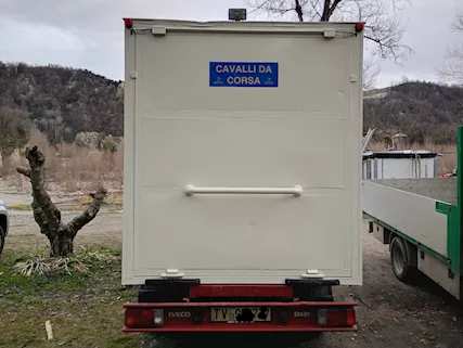 Iveco Daily 35.8 gasolio trasporto animali vivi bestiame Cassone Fisso - Foto 2