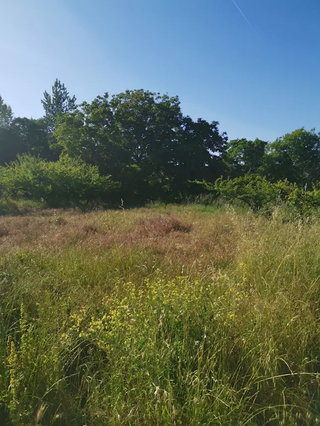 Pozzuoli adiac. via Campana Terreno di 38.000mq - Foto 11