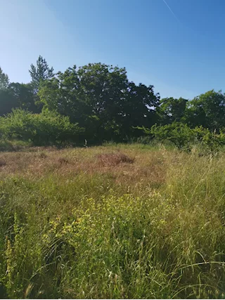 Foto - 11