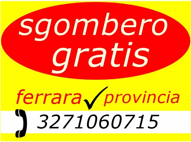 Sgombero ritiro tutto ravenna provincia