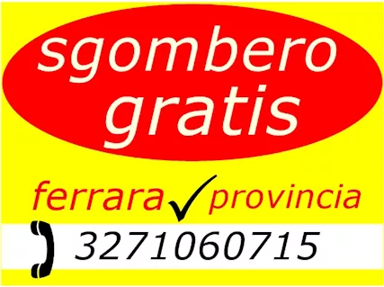 Sgombero ritiro tutto ravenna provincia