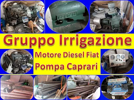 Gruppo Irrigazione Motore Diesel Fiat Pompa Caprari