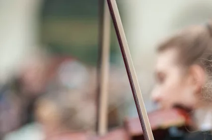 Violinista Costigliole d'Asti