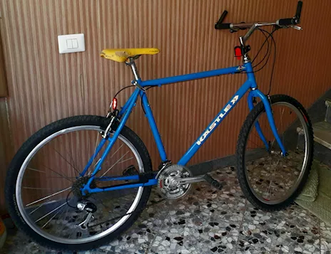 MTB Kastle, ottime condizioni, cambio automatico - Anteprima 2