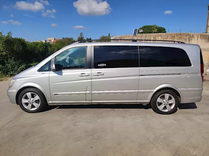 Mercedes Viano