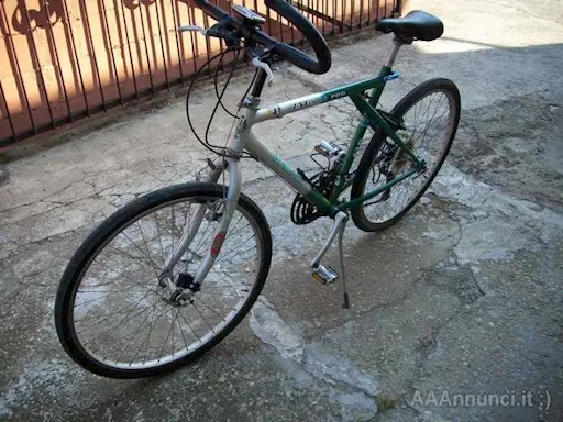 Bicicletta bianchi