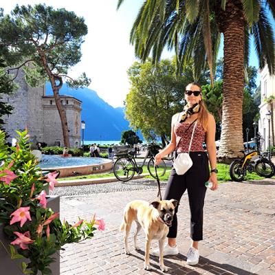 Pet Sitter