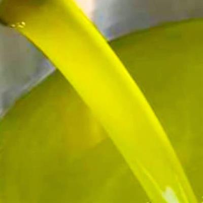 Extravergine di Oliva Biologico