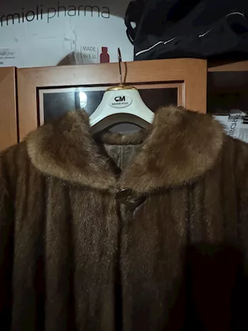 Pelliccia di visone