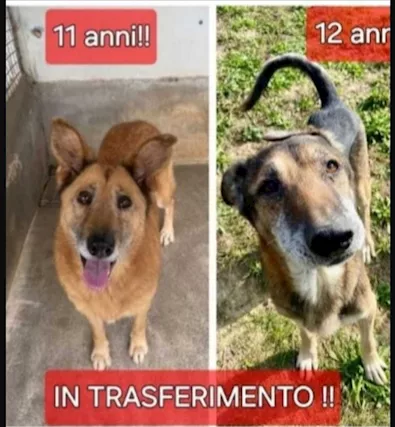 11 e 12 anni deve finire così la loro vita Cosenza