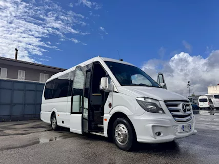 Mercedes Sprinter 519