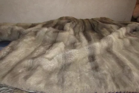 Pelliccia di visone grigio, taglia 46 - Anteprima 4