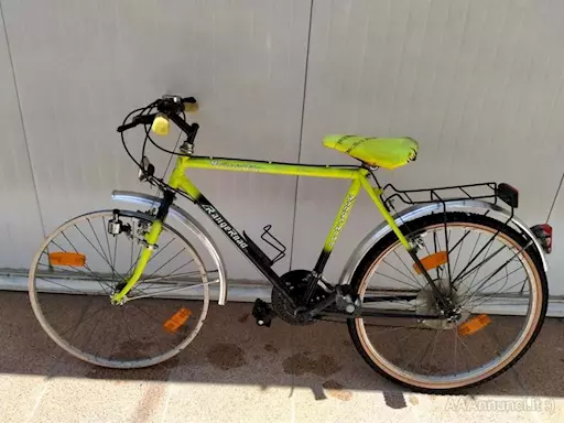 Bicicletta uomo