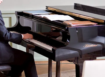 Pianista professionista a Seriate