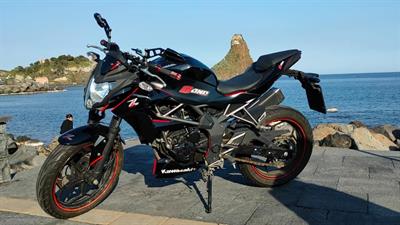 Kawasaki Z 250 SL
