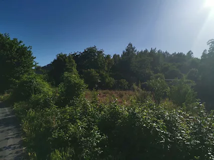 Pozzuoli adiac. via Campana Terreno di 38.000mq - Foto 6