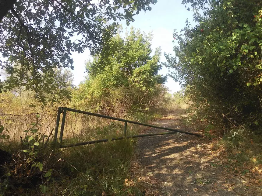 Terreno agricolo in Strada Comunale della Caprara