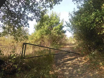 Terreno agricolo in Strada Comunale della Caprara