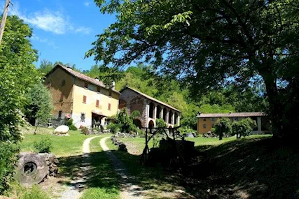 Camere in affitto in antica cascina immersa nella natura
