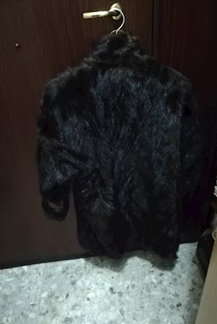 Pelliccia in visone