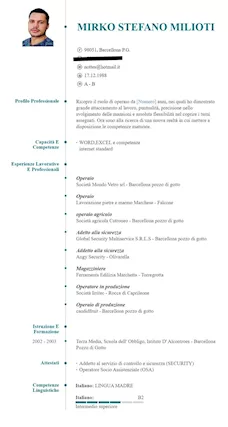 Operaio - Mi chiamo Mirko ho 36 anni cerco lavoro
