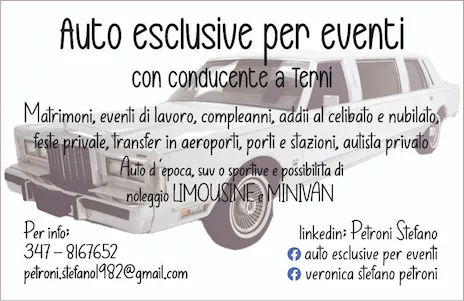 Noleggio auto con conducente