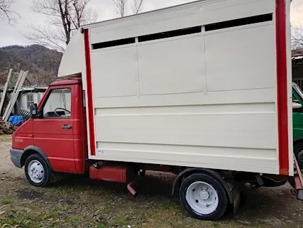 Iveco Daily 35.8 gasolio trasporto animali vivi bestiame Cassone Fisso - Foto 6