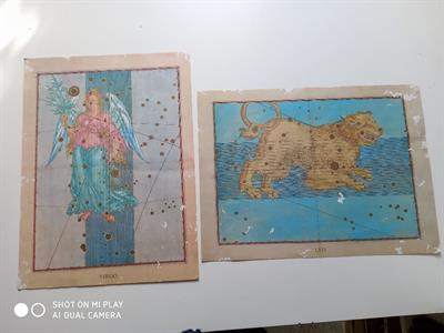 Stampe Uranometria Virgo e Leo