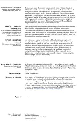 Tuttofare Ciappinaro - Foto 2