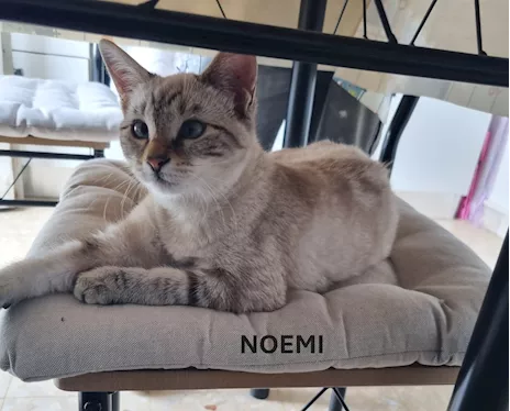 Nemo e Noemi cuccioli