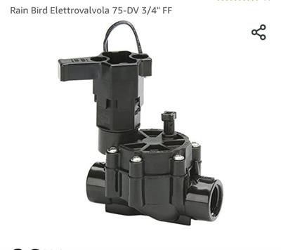 Elettrovalvola rain bird 3/4 FF 24 volt