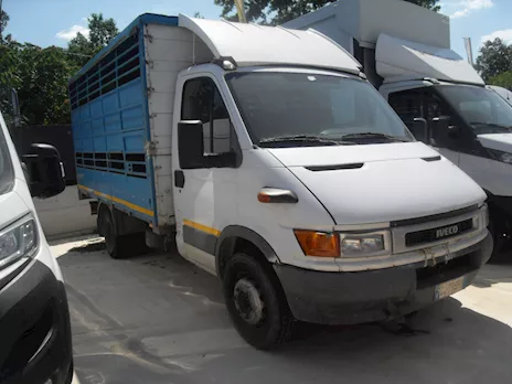 Iveco Daily 60C15 trasporto animali vivi