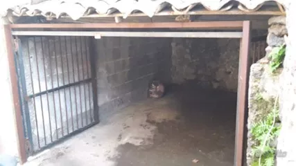 Rustico in in vendita da privato a Camporotondo Etneo vico C - Foto 3
