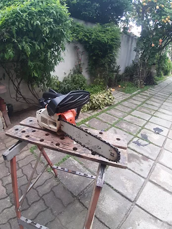 Motosega Professional