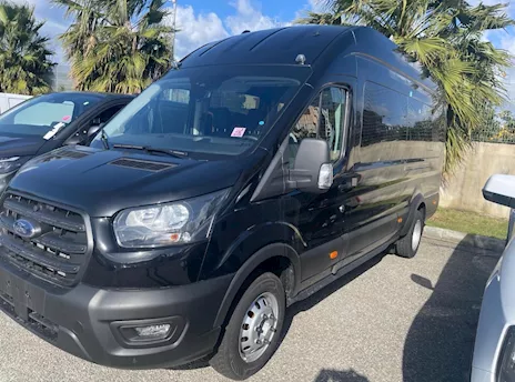 Ford Transit Trend 170 CV