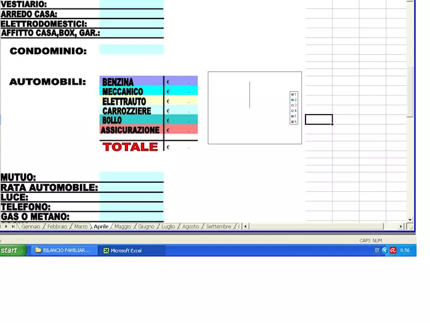 Software Bilancio familiare e gestione conto corrente