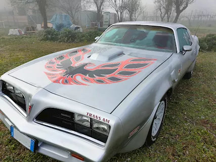 Pontiac trans am firebird 1978