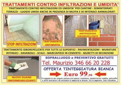 Imbiancatura, ristrutturazione, antimuffa, antiumidità, in legno - Foto 6