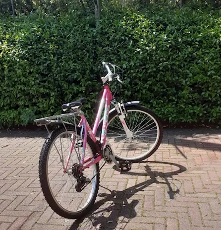 Bici per ragazzina
