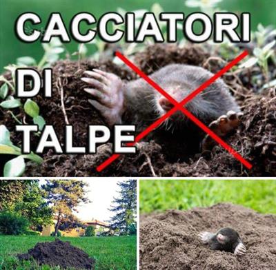 Cacciatori di talpe